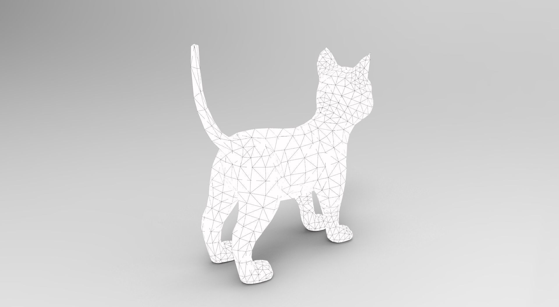 3D Cat Rigged and Animated model Low-poly 3D model_24