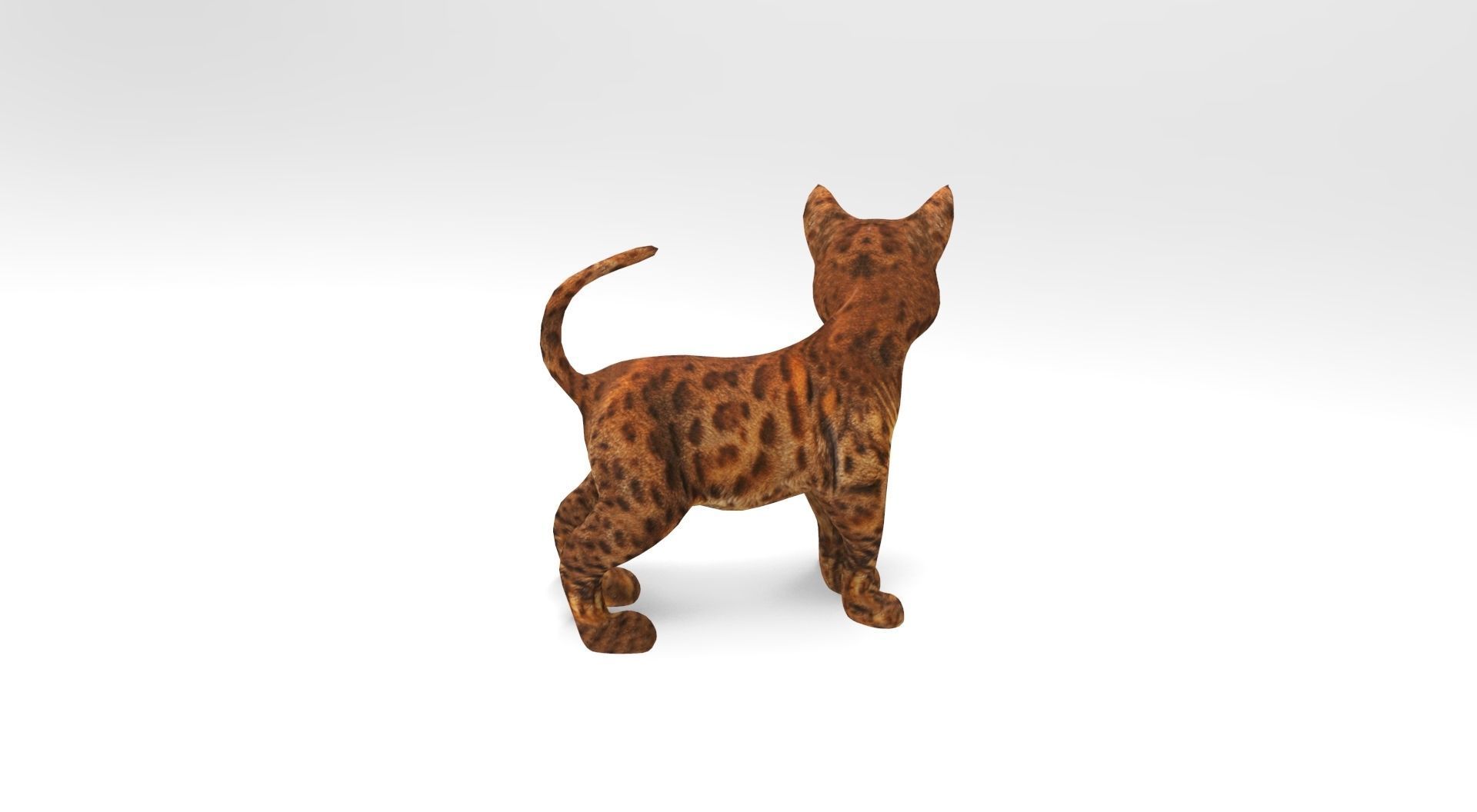 3D Cat Rigged and Animated model Low-poly 3D model_6