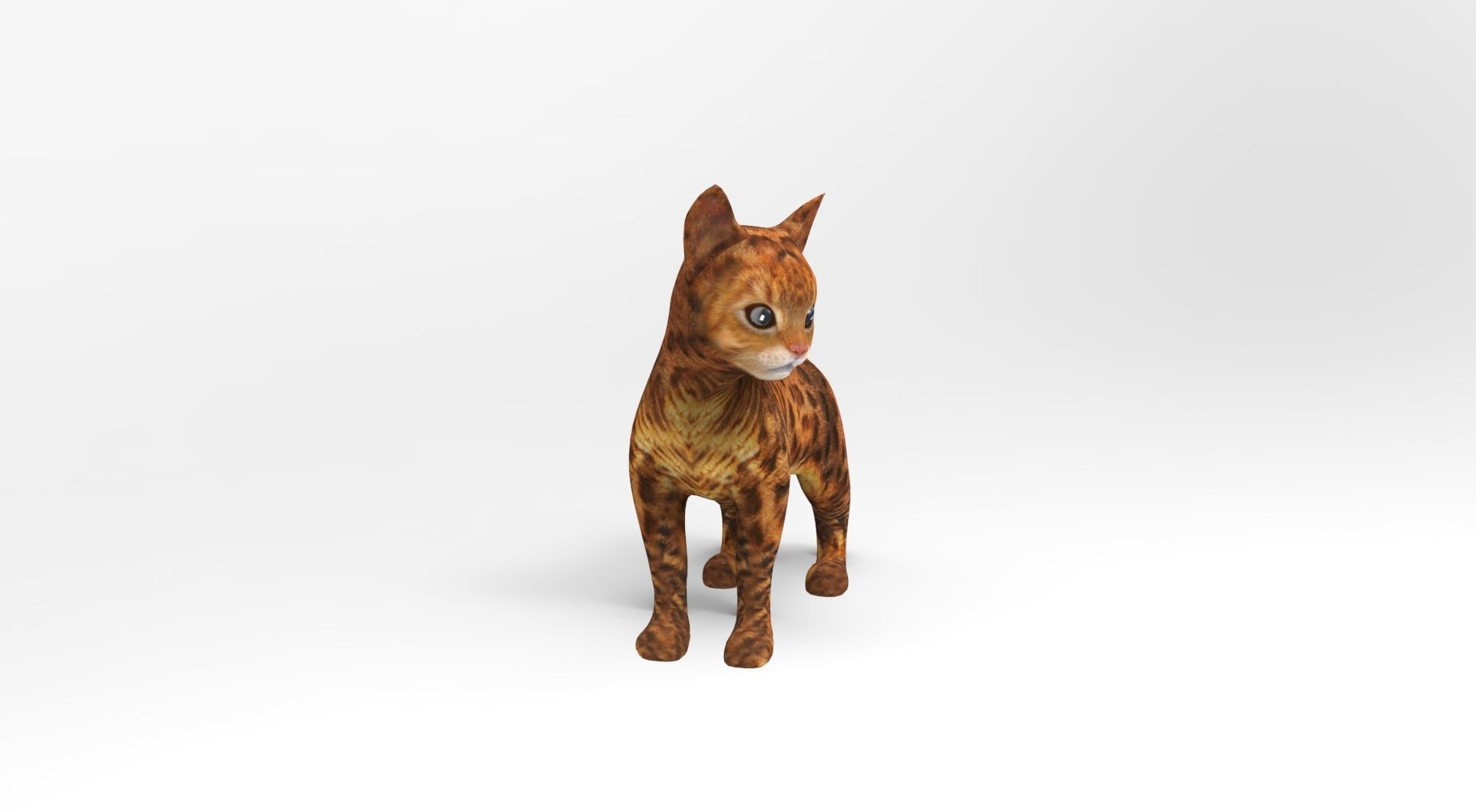 3D Cat Rigged and Animated model Low-poly 3D model_5