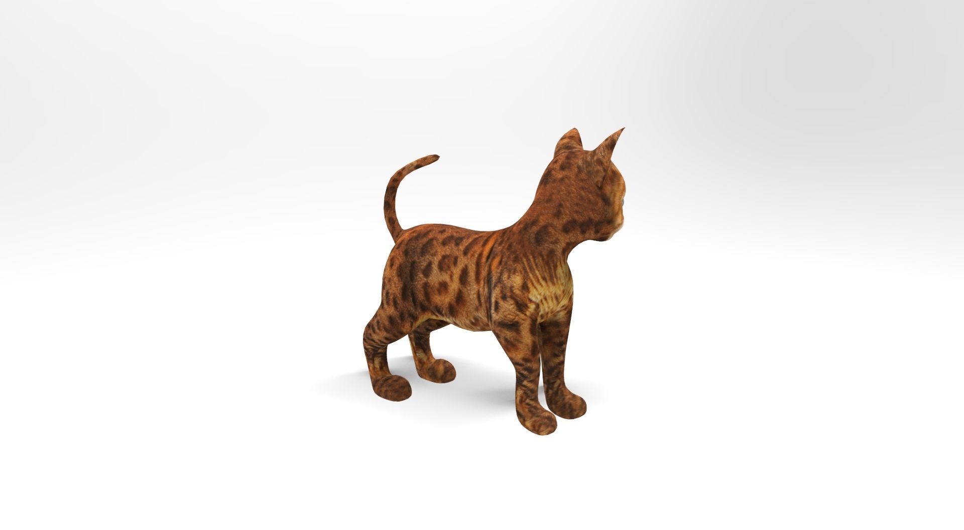 3D Cat Rigged and Animated model Low-poly 3D model_3