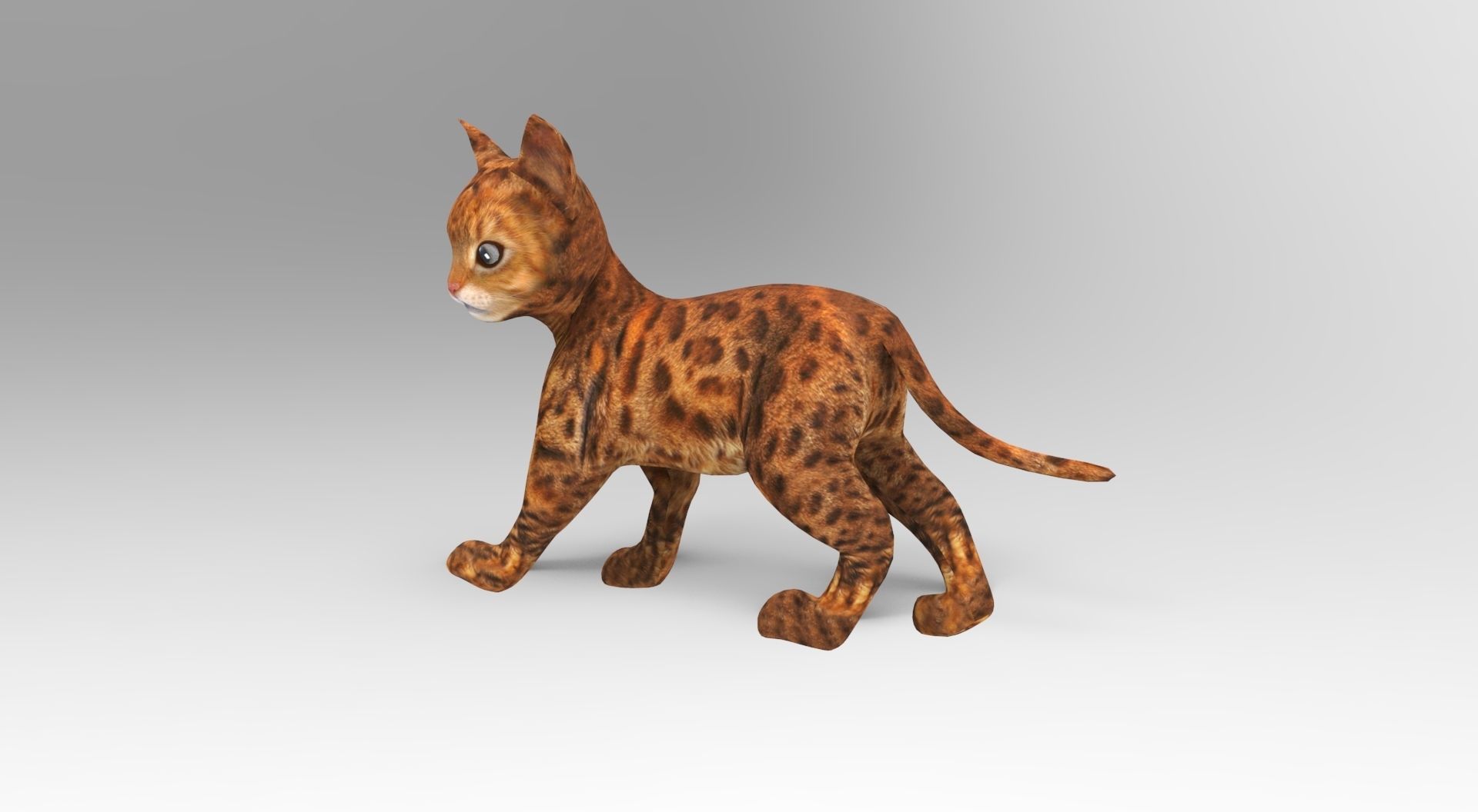 3D Cat Rigged and Animated model Low-poly 3D model_10