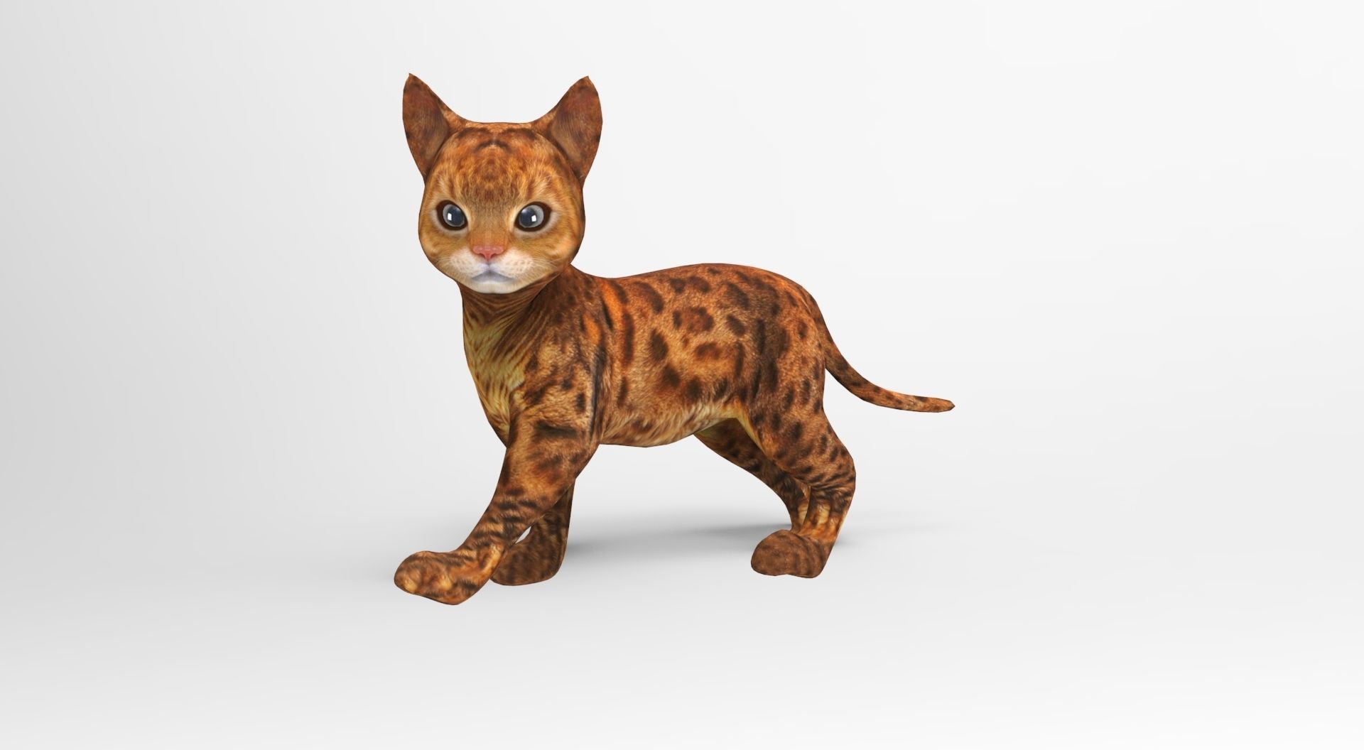3D Cat Rigged and Animated model Low-poly 3D model_11