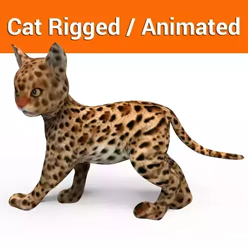3d Cute cat rigged and aniamted 3d  Low-poly 3D model