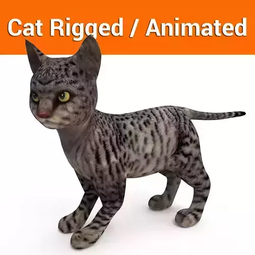 Black 3d Cat rigged and animated 