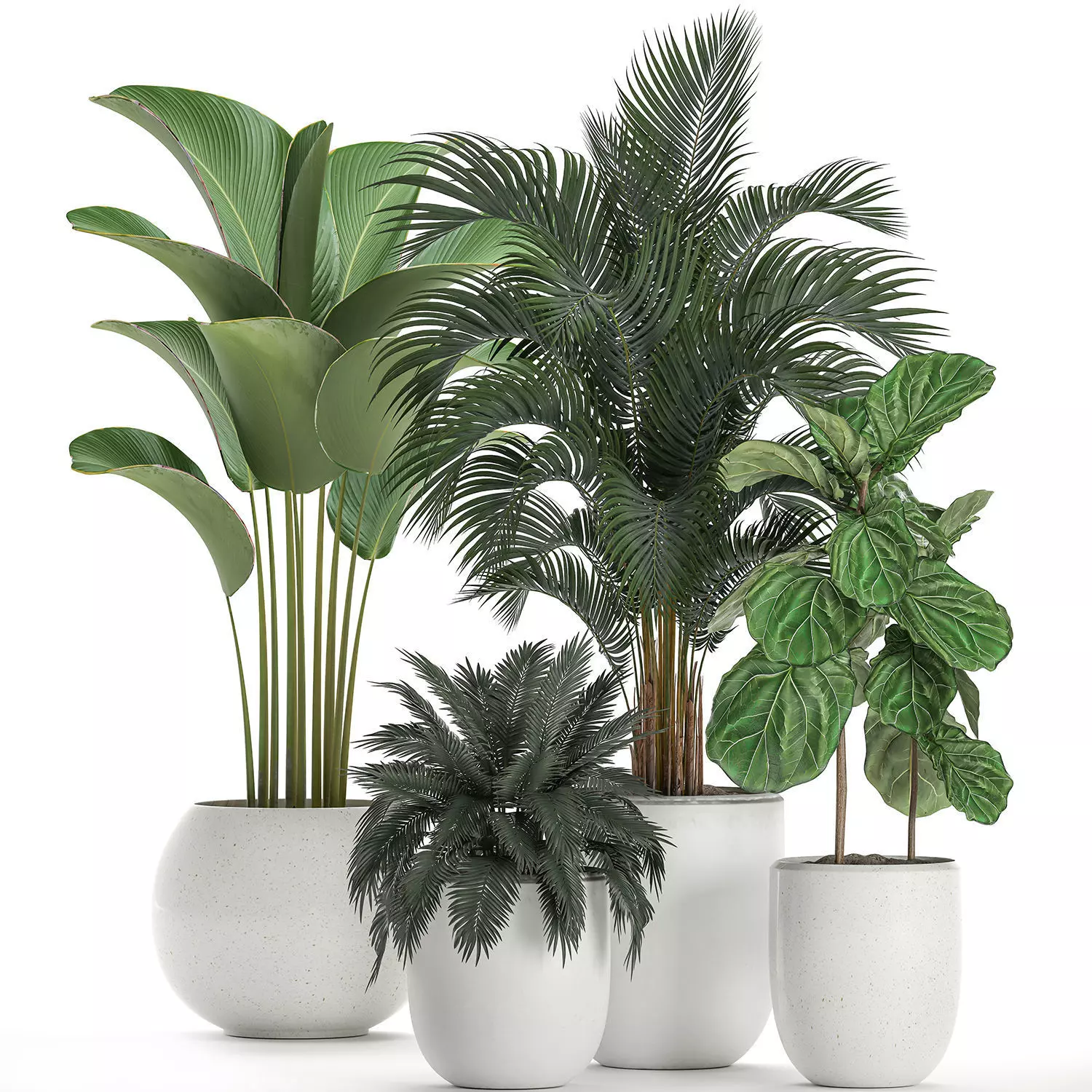 Plants in a white pot for the interior 668 3D model