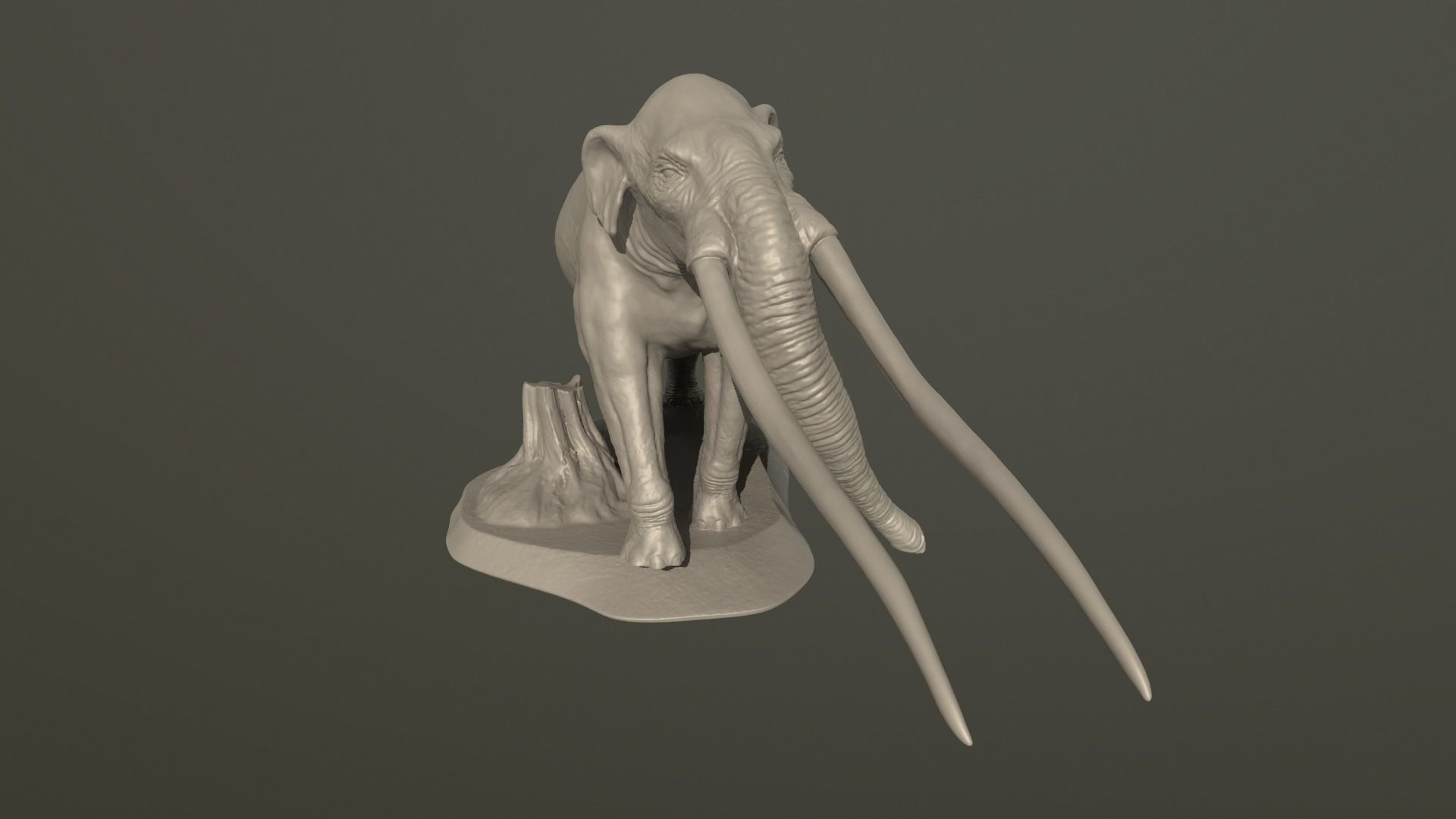 Anancus arvernensis 3D print model_5