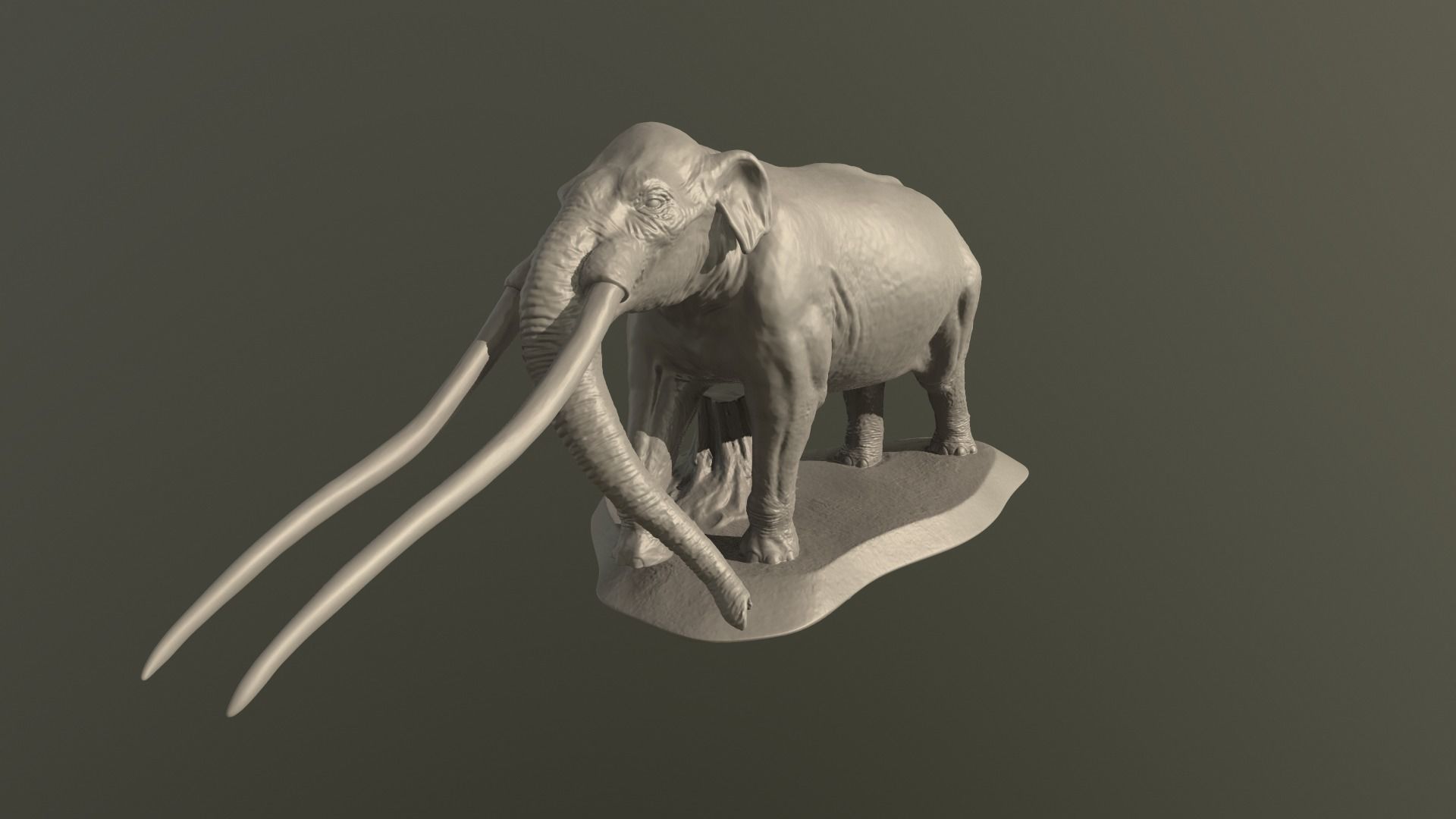 Anancus arvernensis 3D print model_6