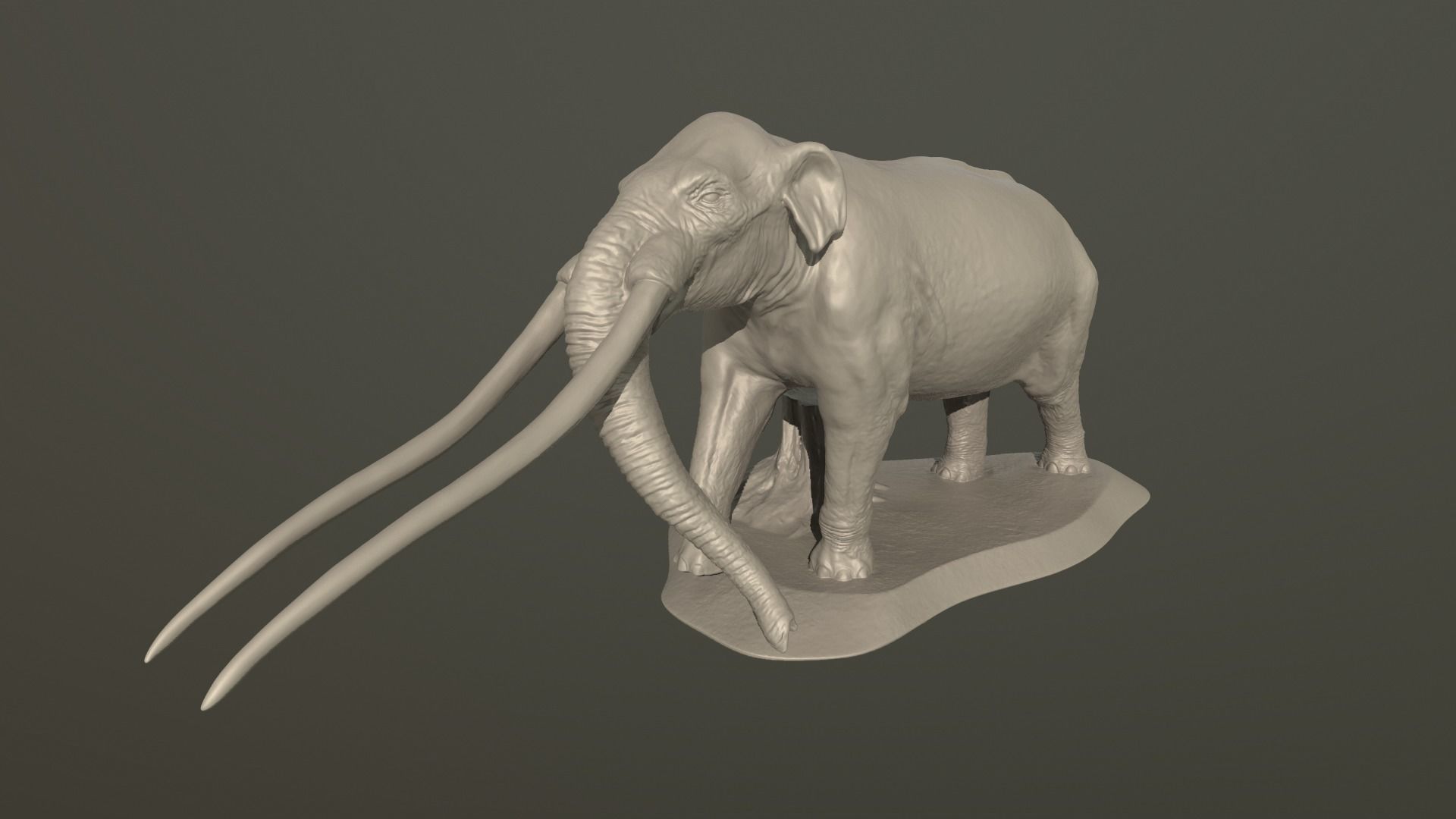 Anancus arvernensis 3D print model_15