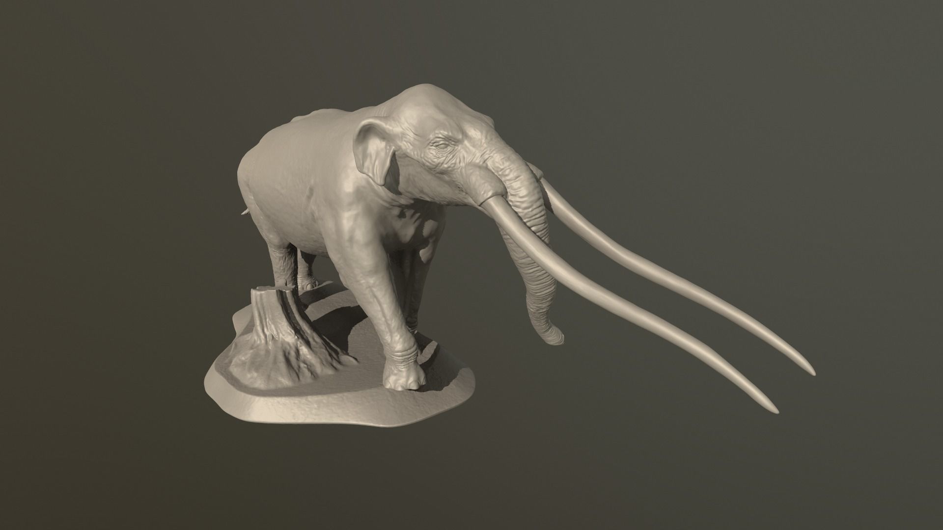 Anancus arvernensis 3D print model_19