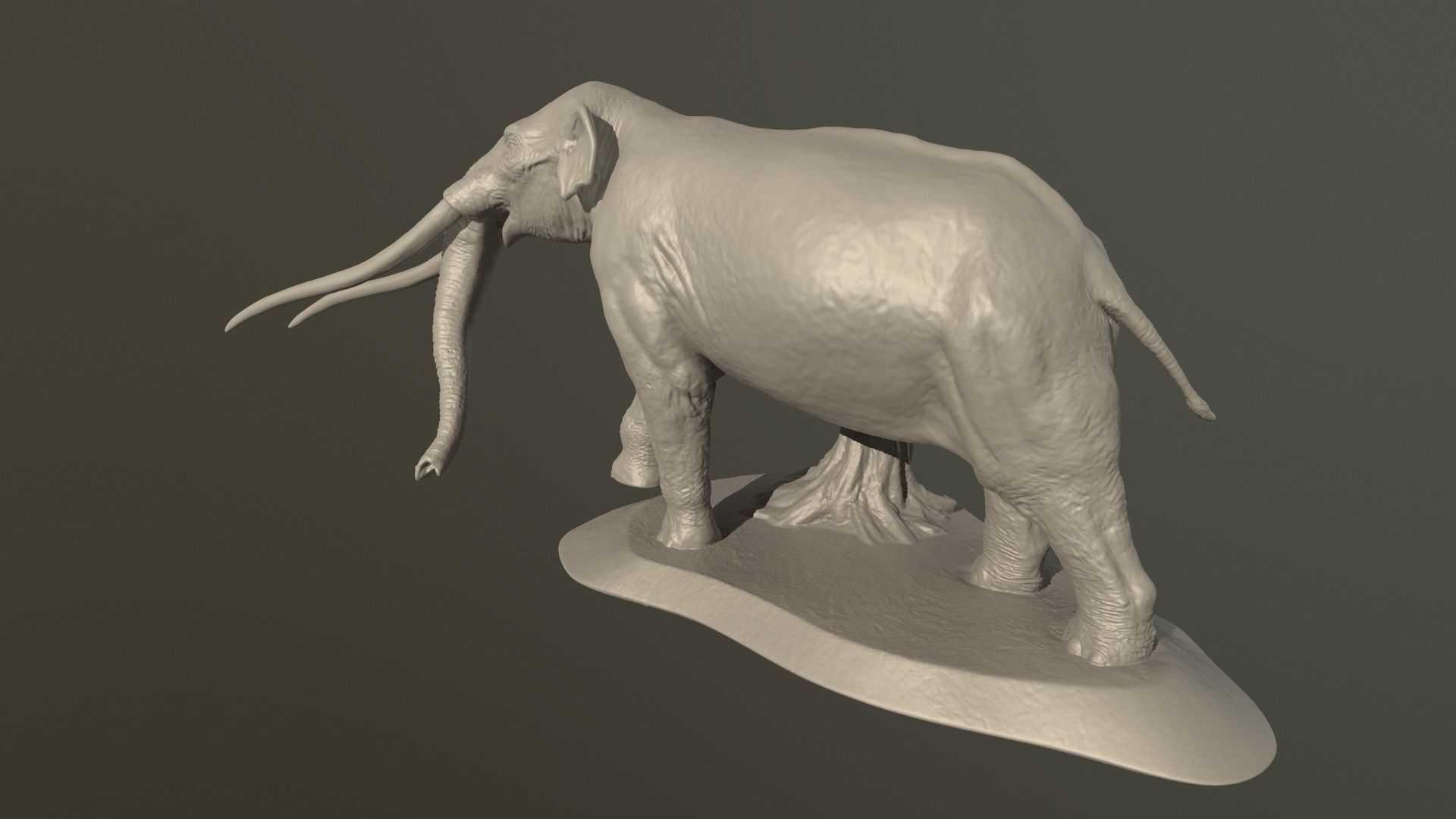 Anancus arvernensis 3D print model_13