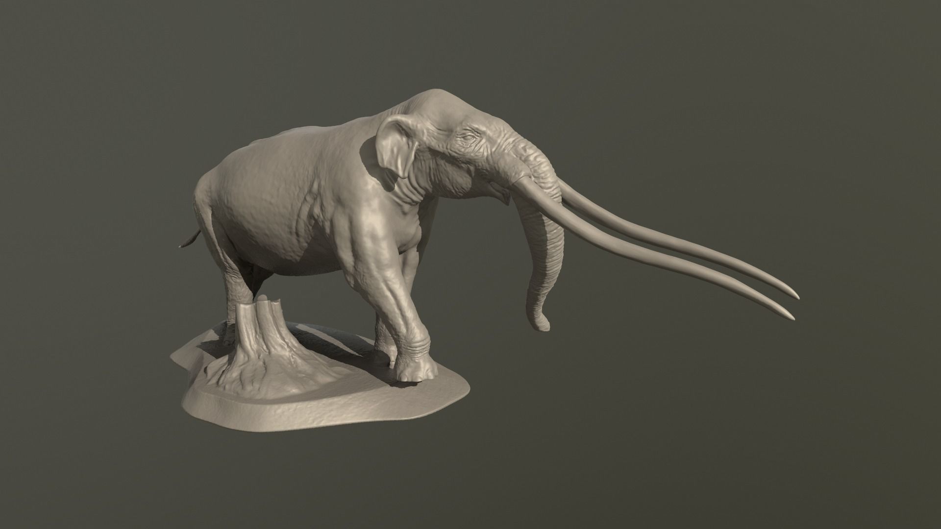 Anancus arvernensis 3D print model_7