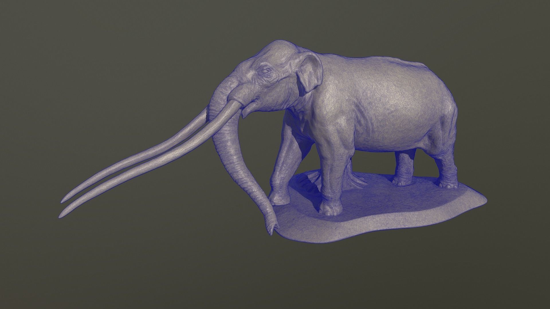 Anancus arvernensis 3D print model_16