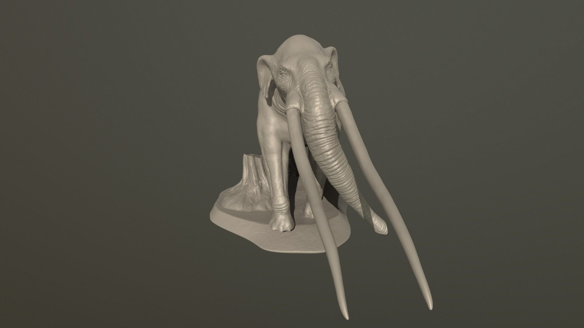 Anancus arvernensis 3D print model_17