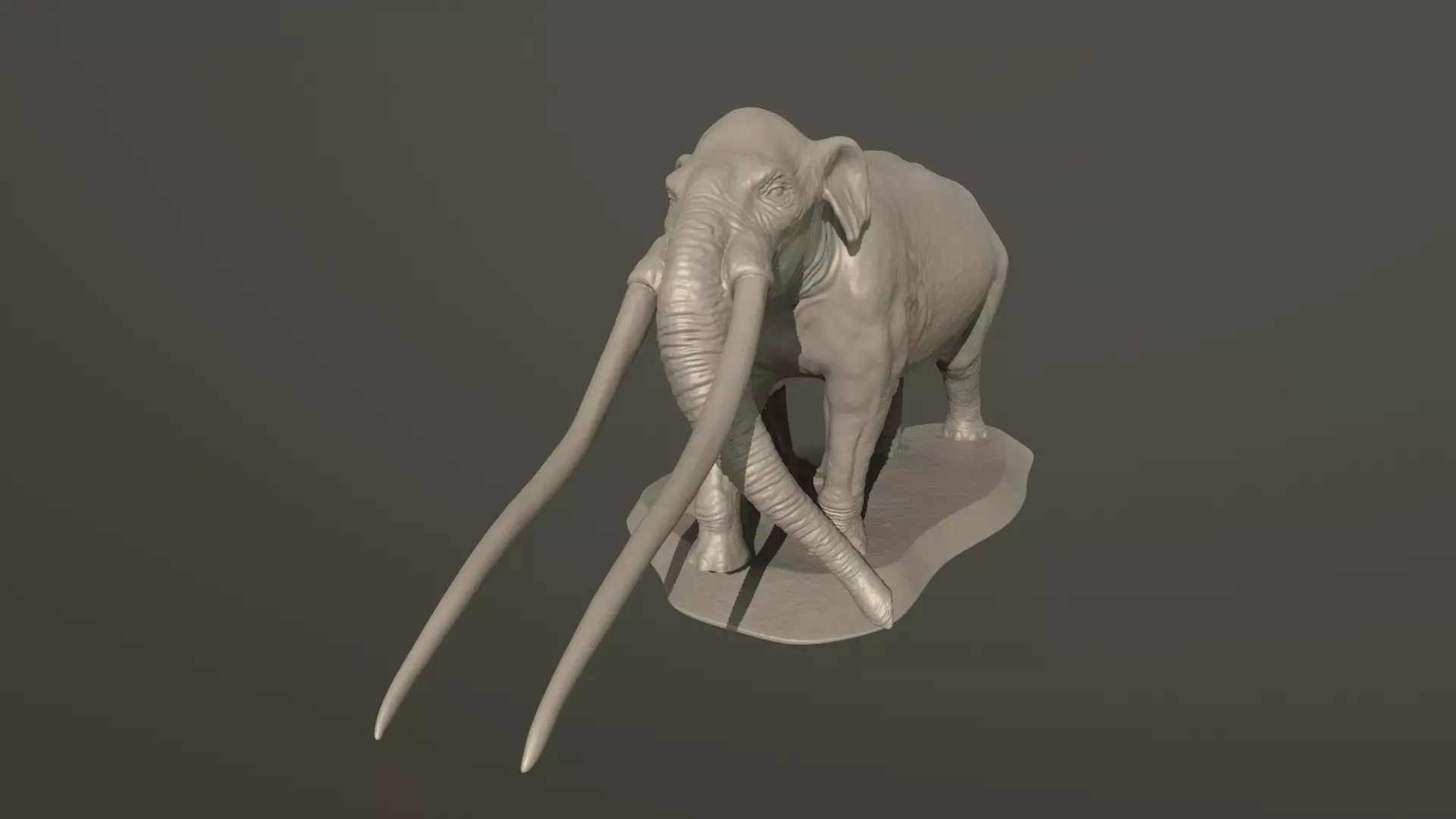 Anancus arvernensis 3D print model_0