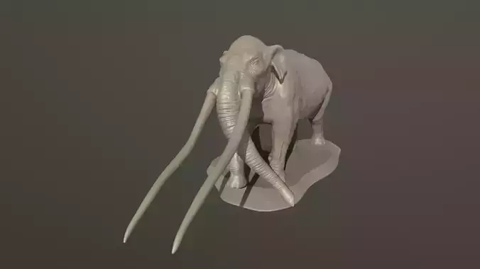 Anancus arvernensis 3D print model