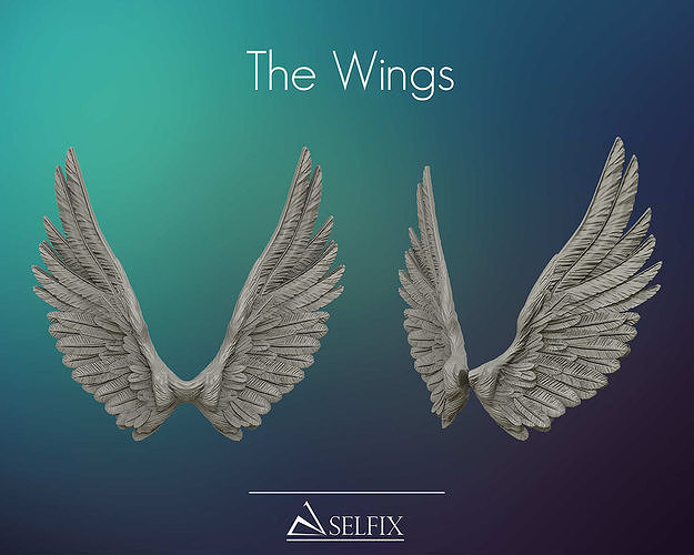 Wings ready for 3D print and useful in design 3D print model