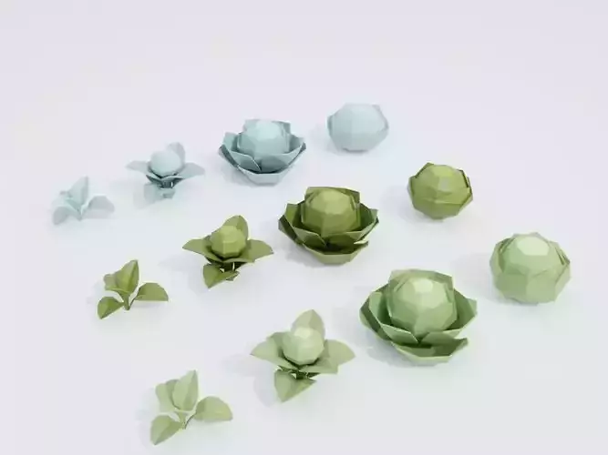 Low poly cabbage