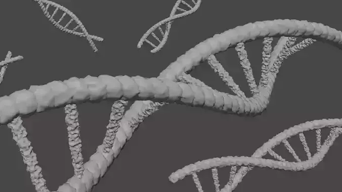 dna for blender models