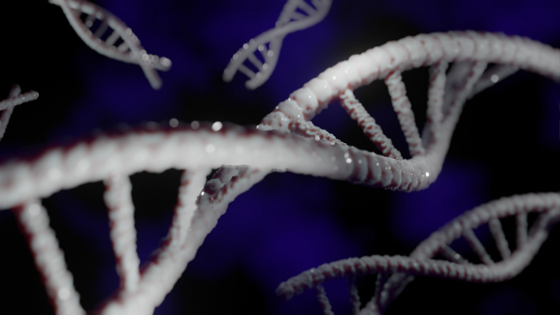 dna for blender models free VR / AR / lowpoly 3D model CGTrader