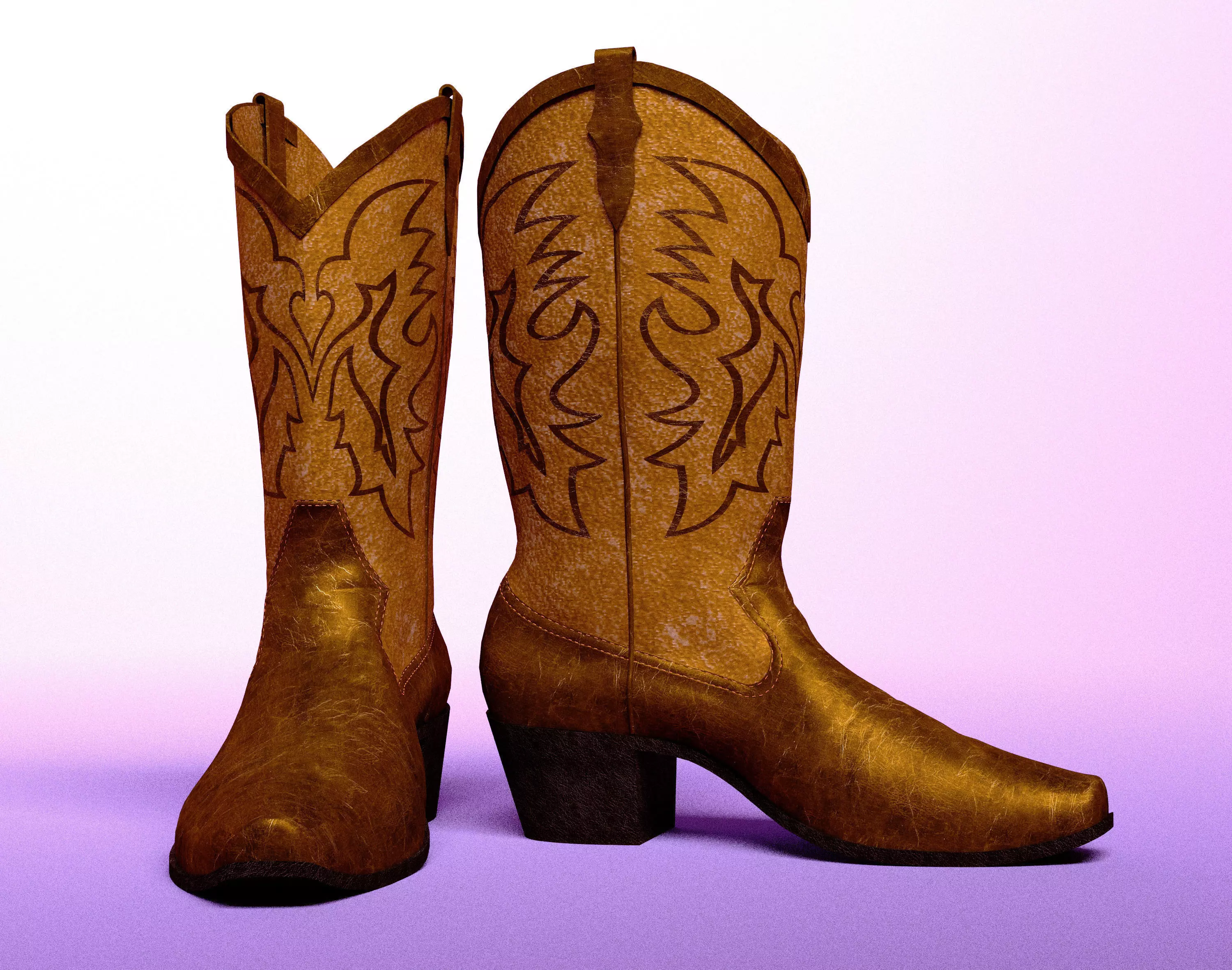 Cowboy Boots Free 3D model_0
