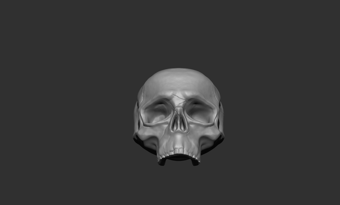 Skull 3D print model_2