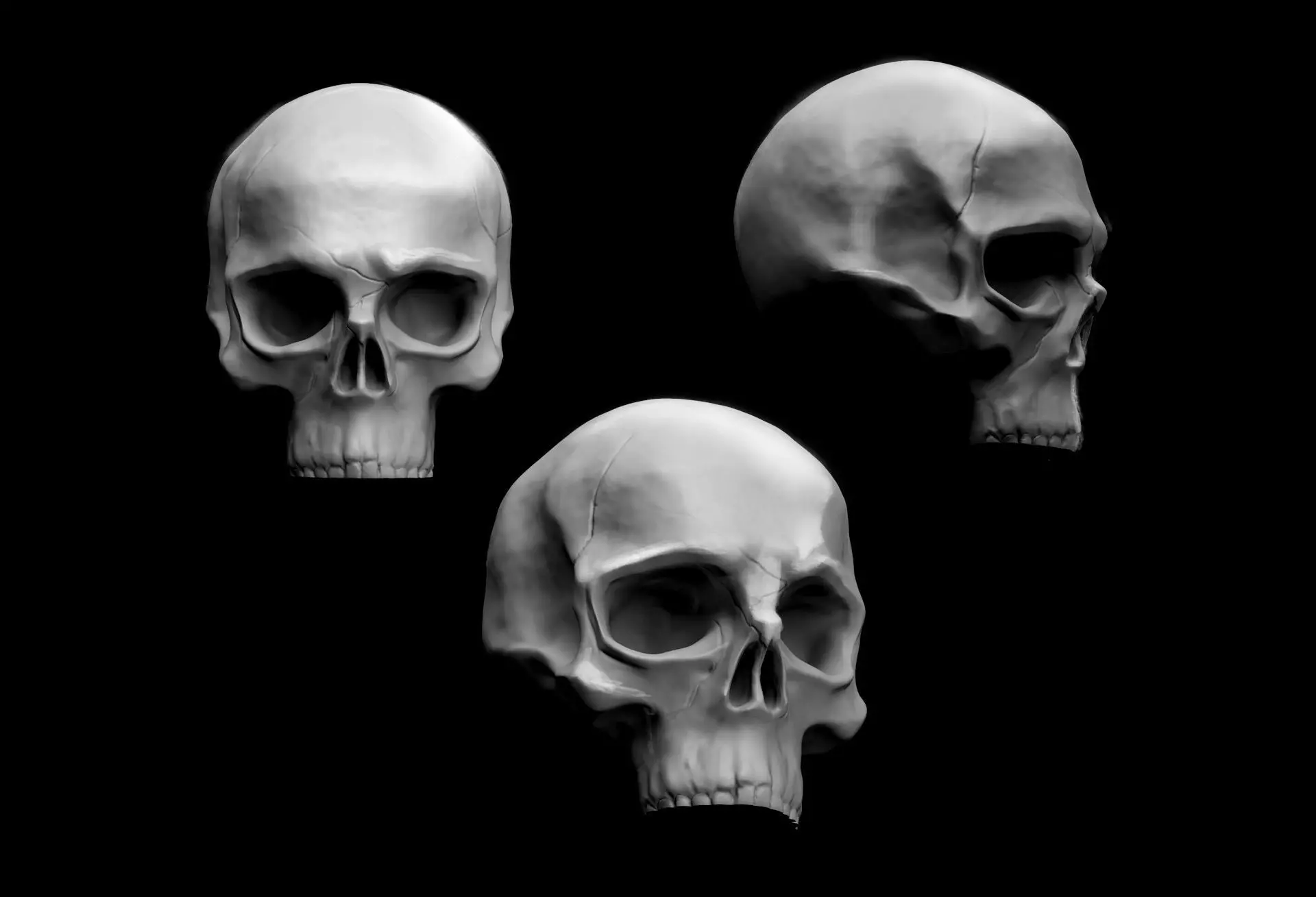 Skull 3D print model_0