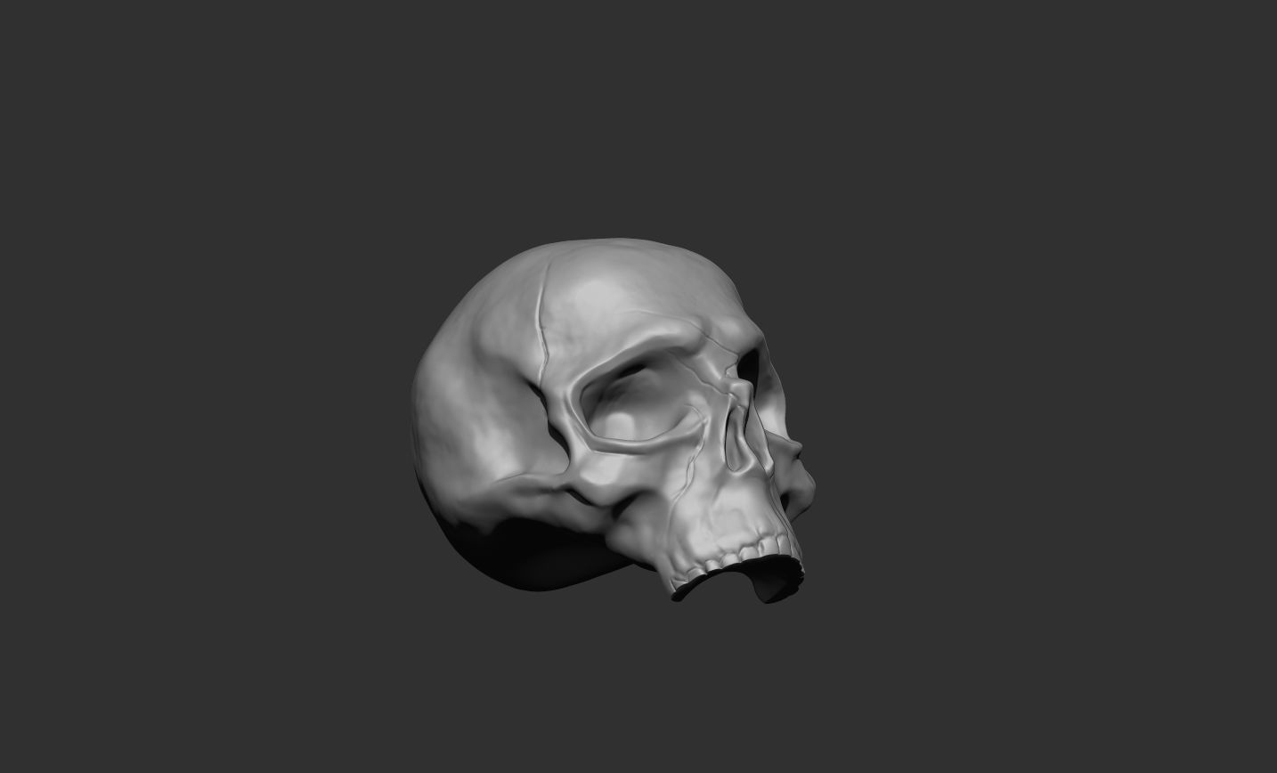 Skull 3D print model_3
