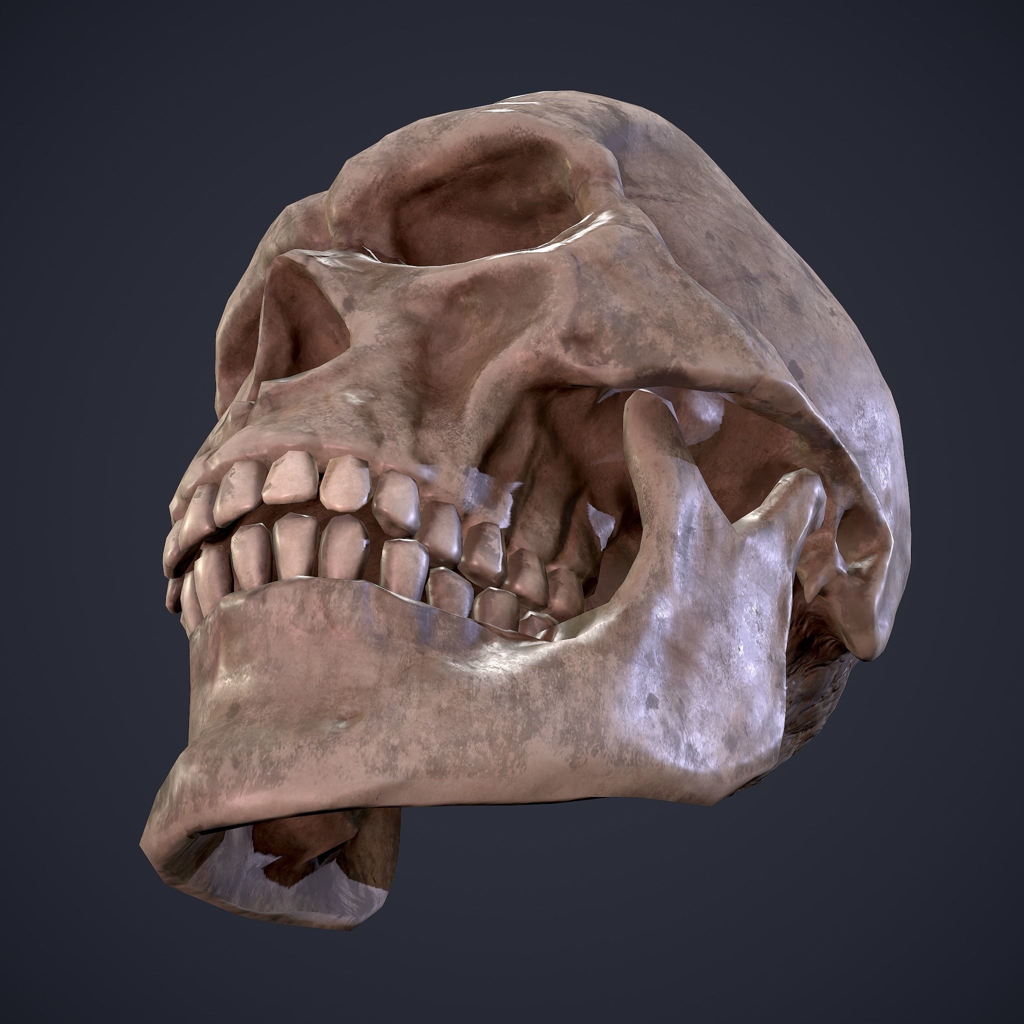 Halloween Horror Props Pack 3D Model Collection_76