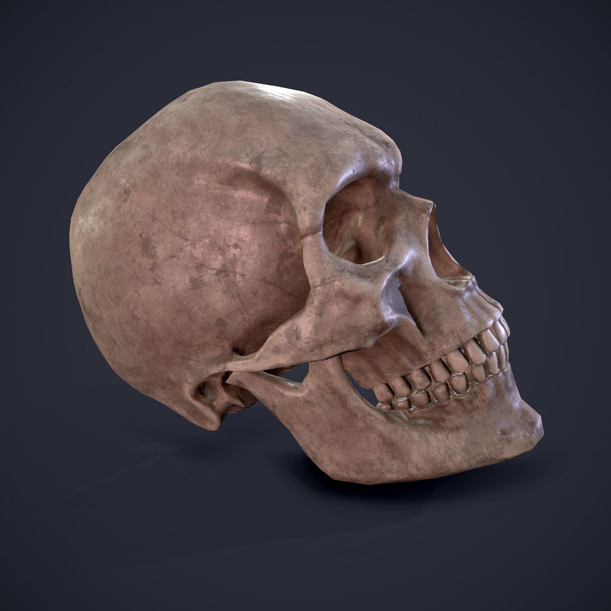 Halloween Horror Props Pack 3D Model Collection_66