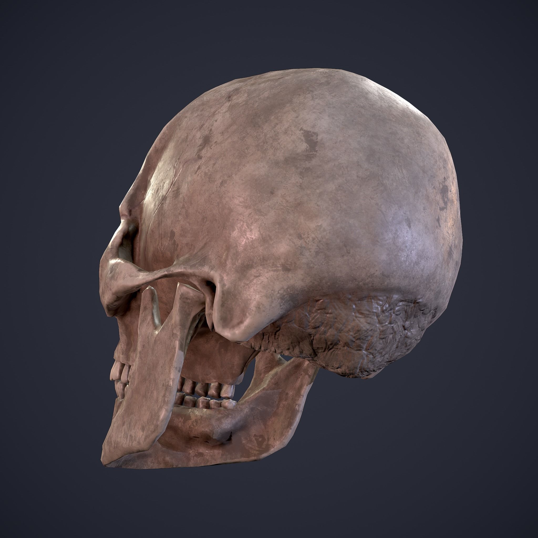 Halloween Horror Props Pack 3D Model Collection_80