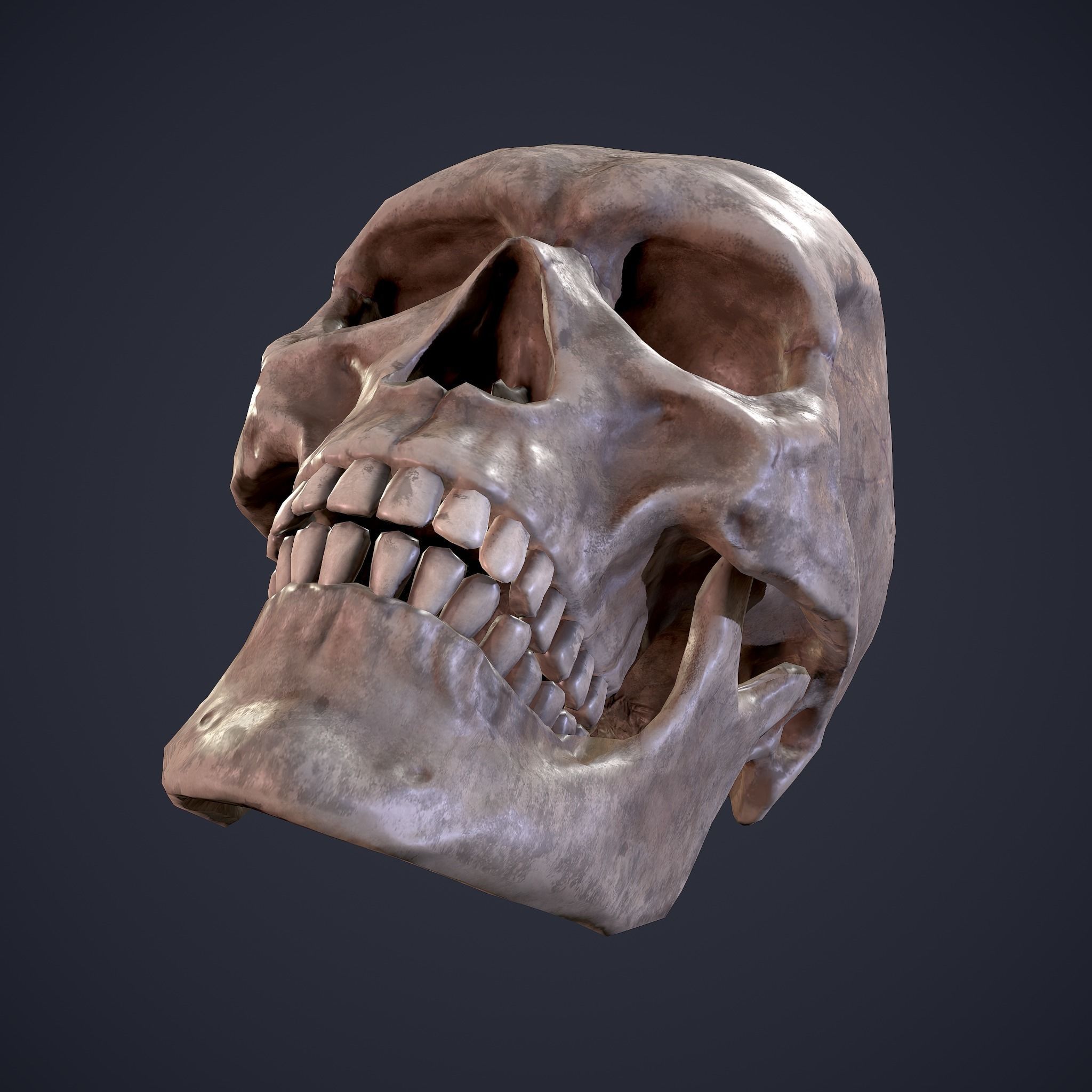 Halloween Horror Props Pack 3D Model Collection_79