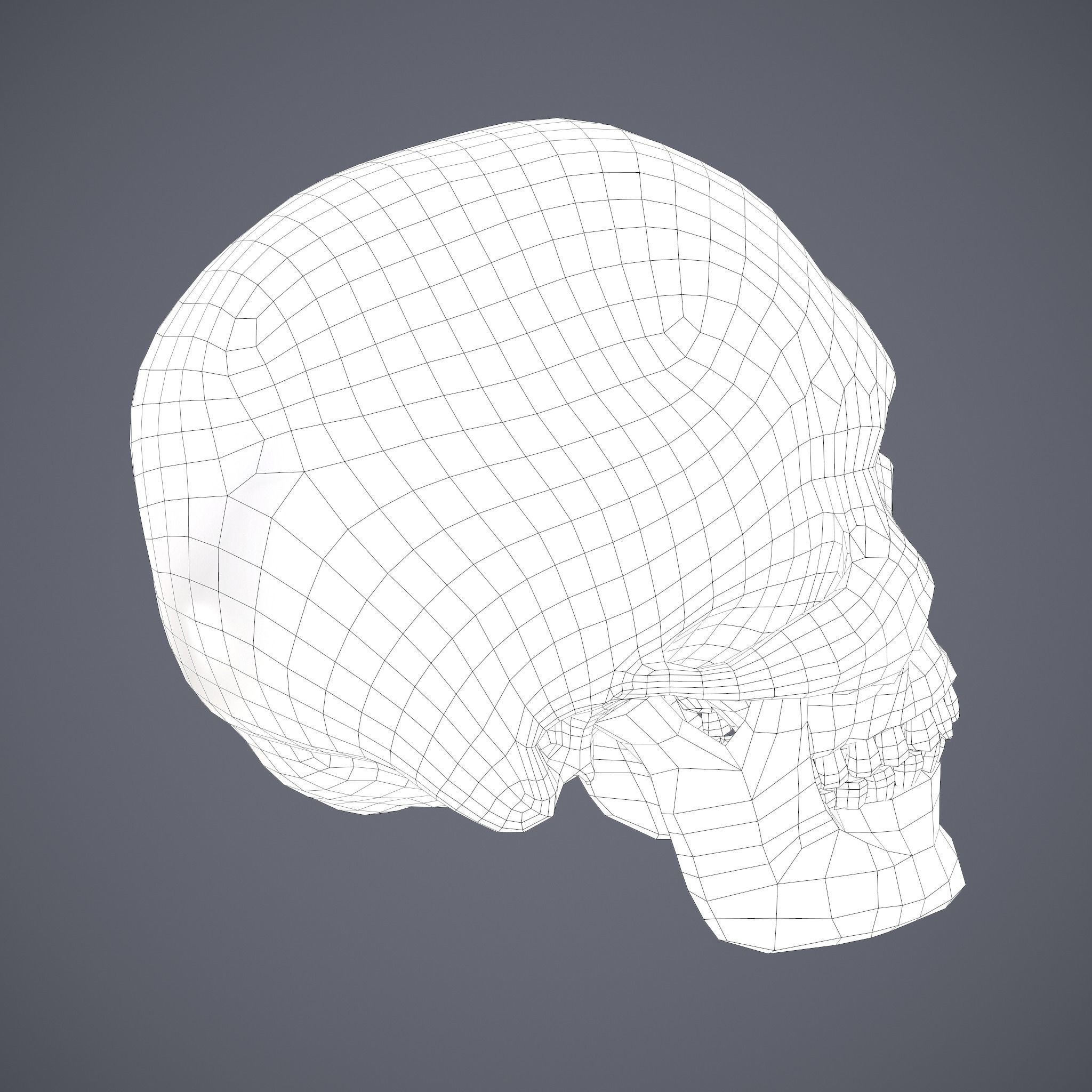 Halloween Horror Props Pack 3D Model Collection_83