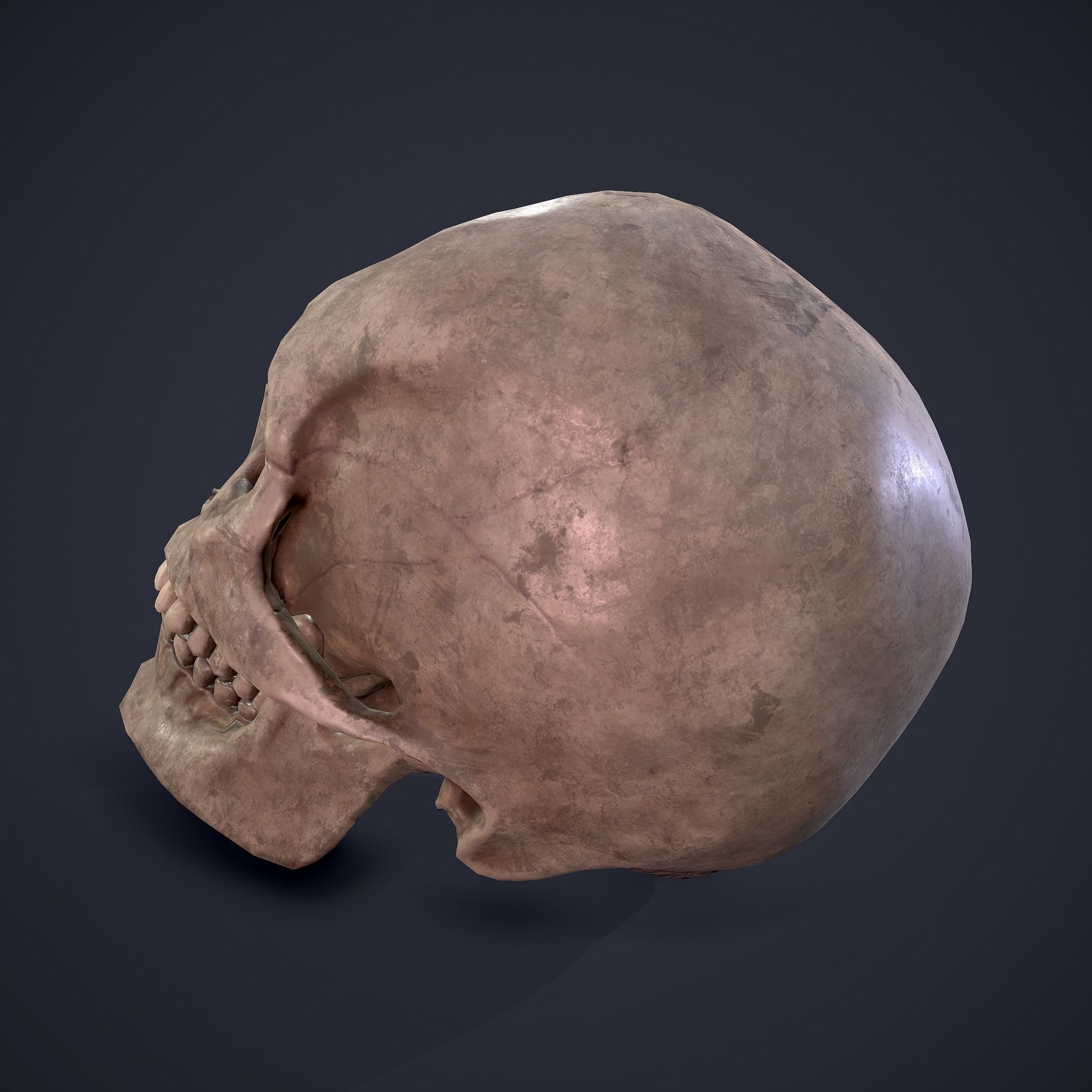 Halloween Horror Props Pack 3D Model Collection_71