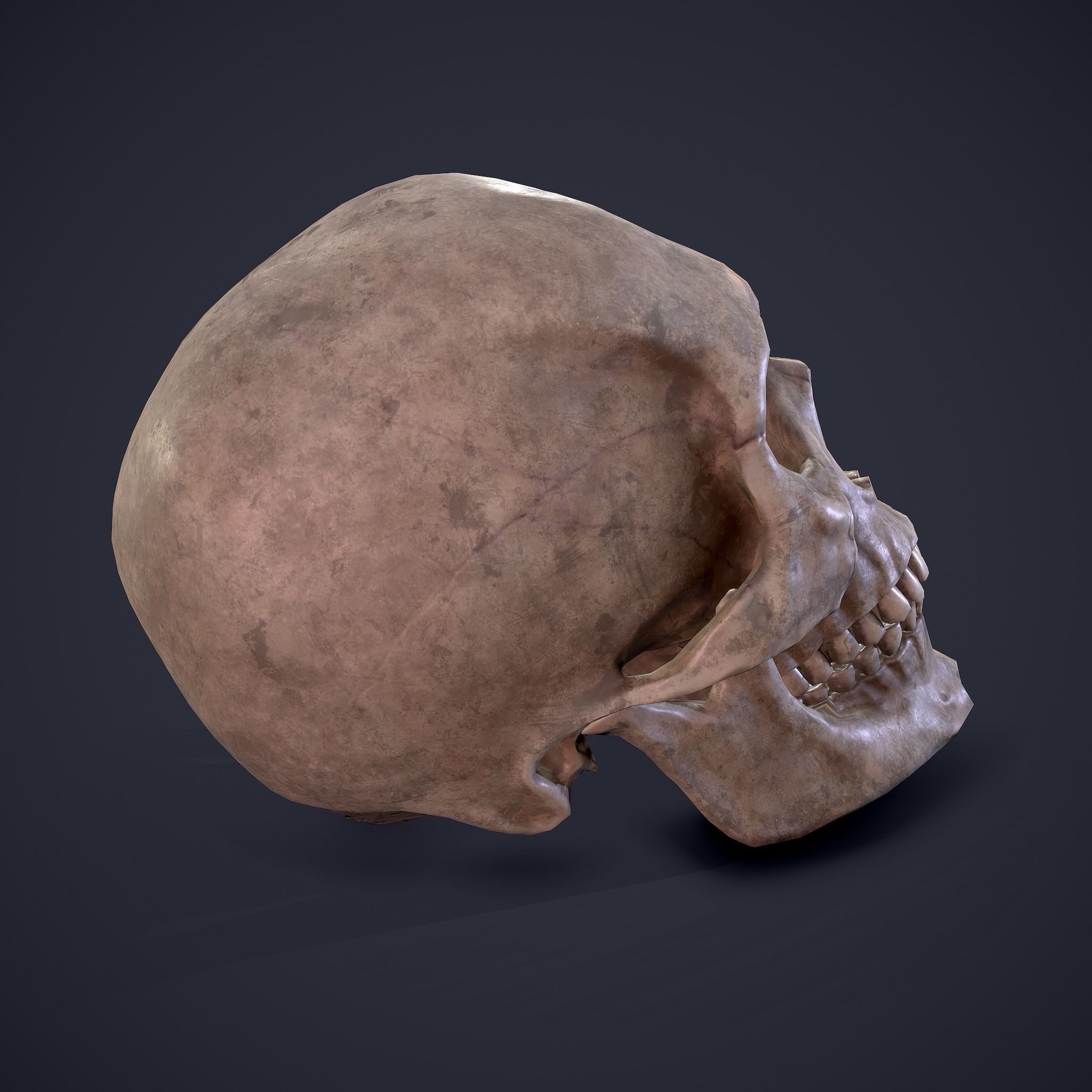 Halloween Horror Props Pack 3D Model Collection_67