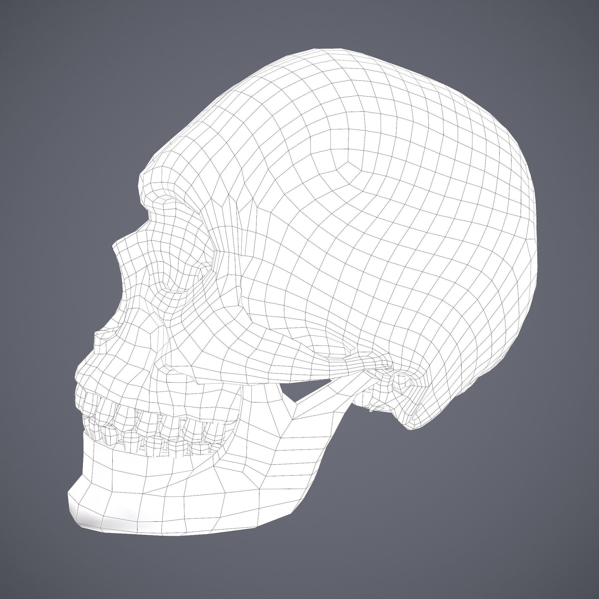 Halloween Horror Props Pack 3D Model Collection_85