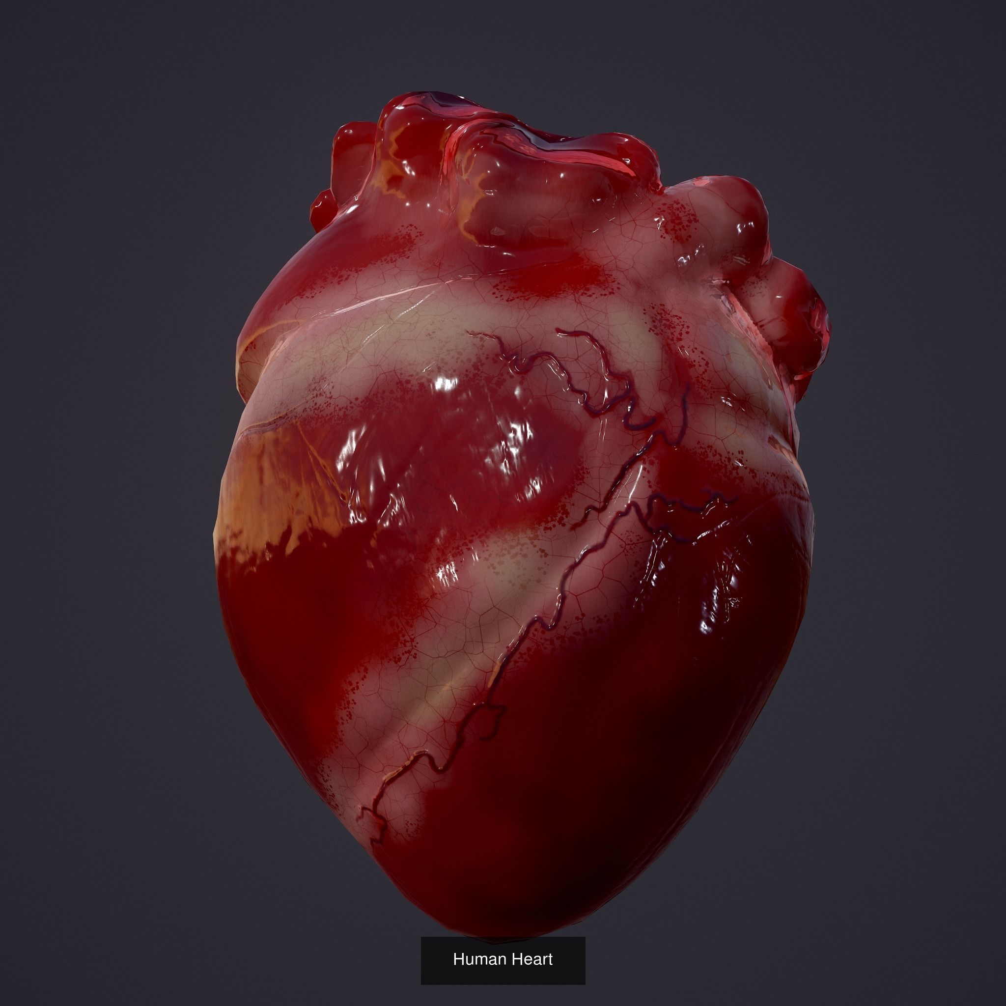 Halloween Horror Props Pack 3D Model Collection_32