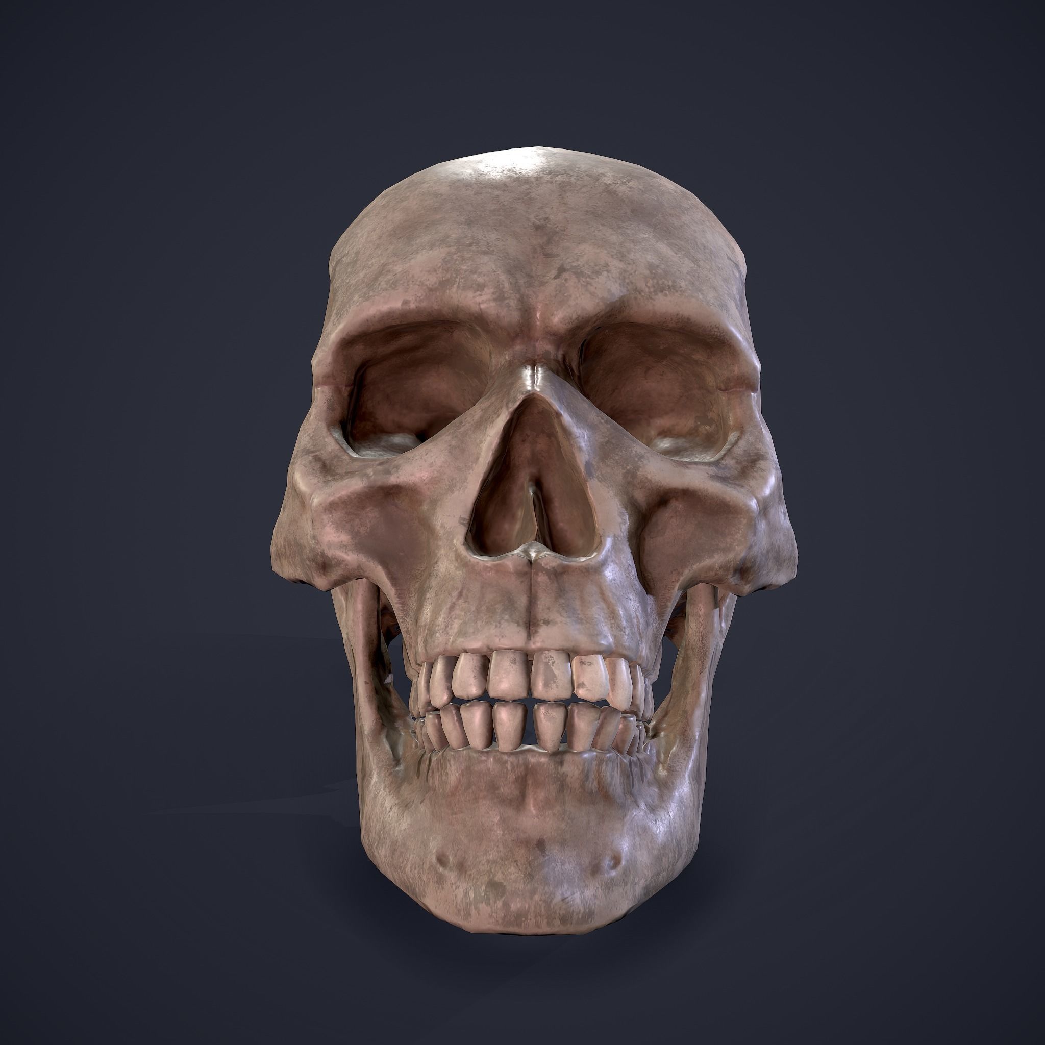 Halloween Horror Props Pack 3D Model Collection_74