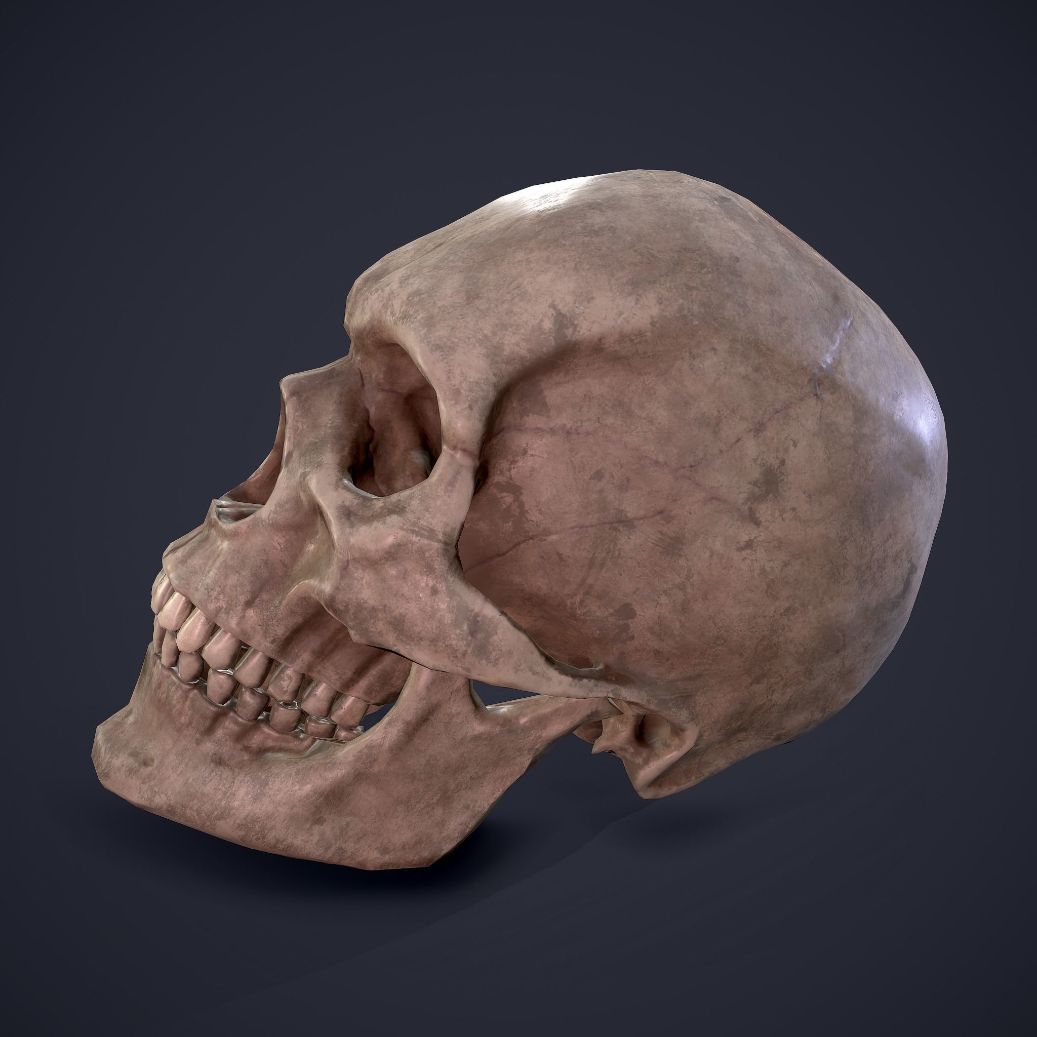 Halloween Horror Props Pack 3D Model Collection_72