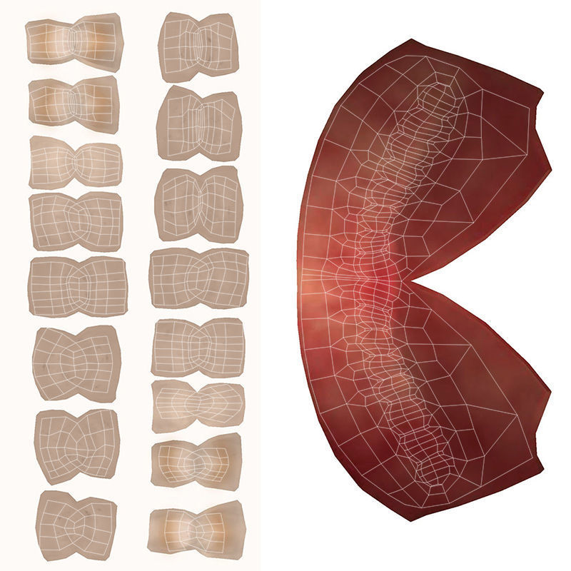 Violet Cartoon character  Low-poly 3D model_22