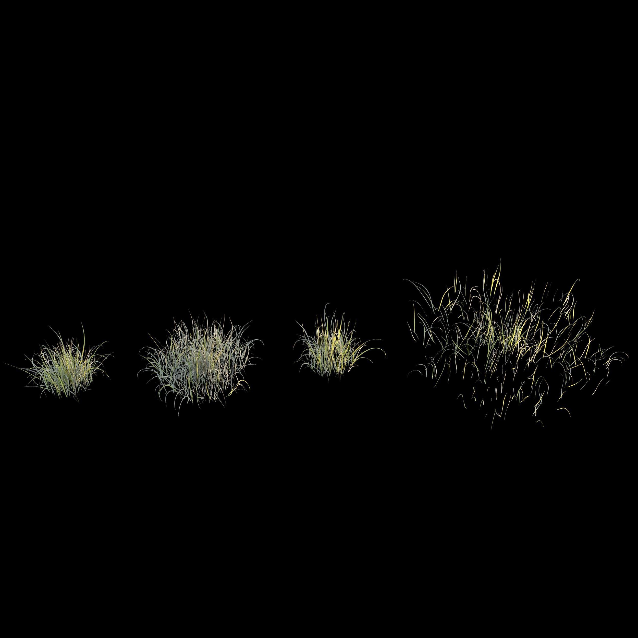 Uncut forest grass collection 01 3D model_3