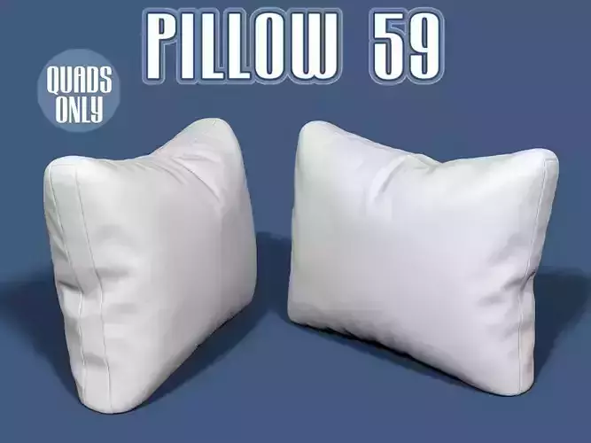 Pillow 59