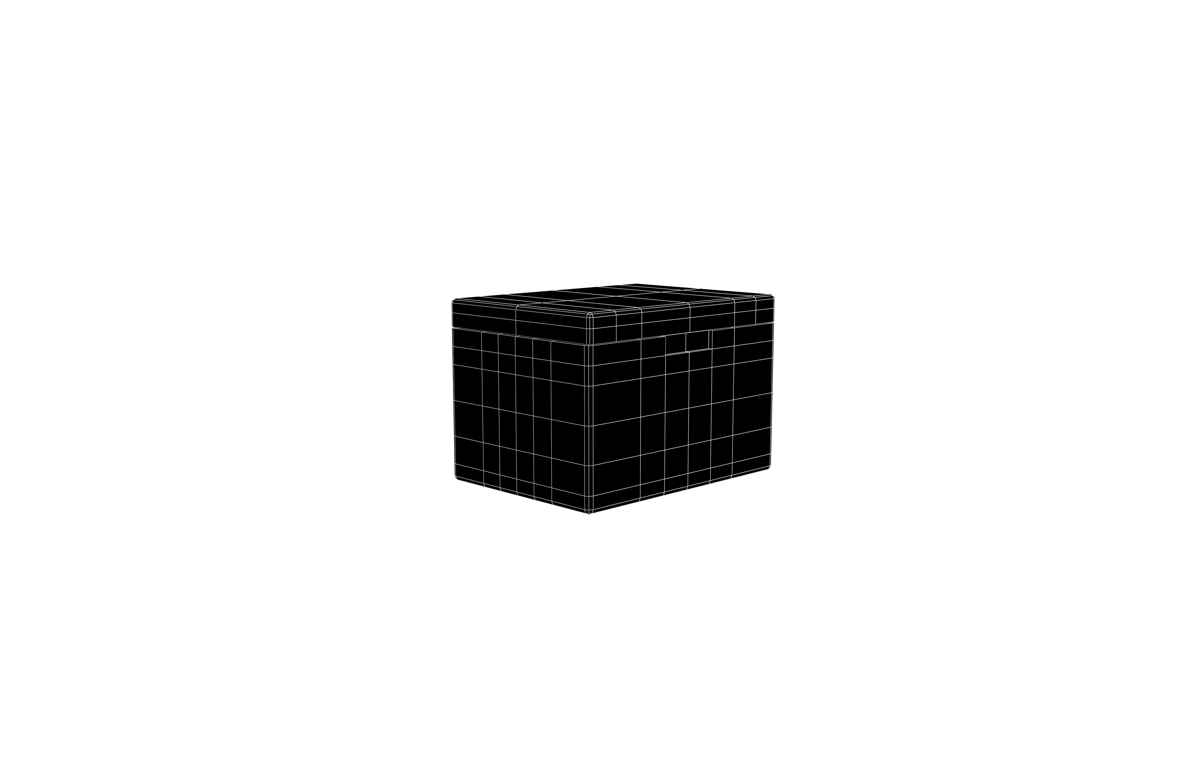 Cooler Box v1 002 Low-poly 3D model_7
