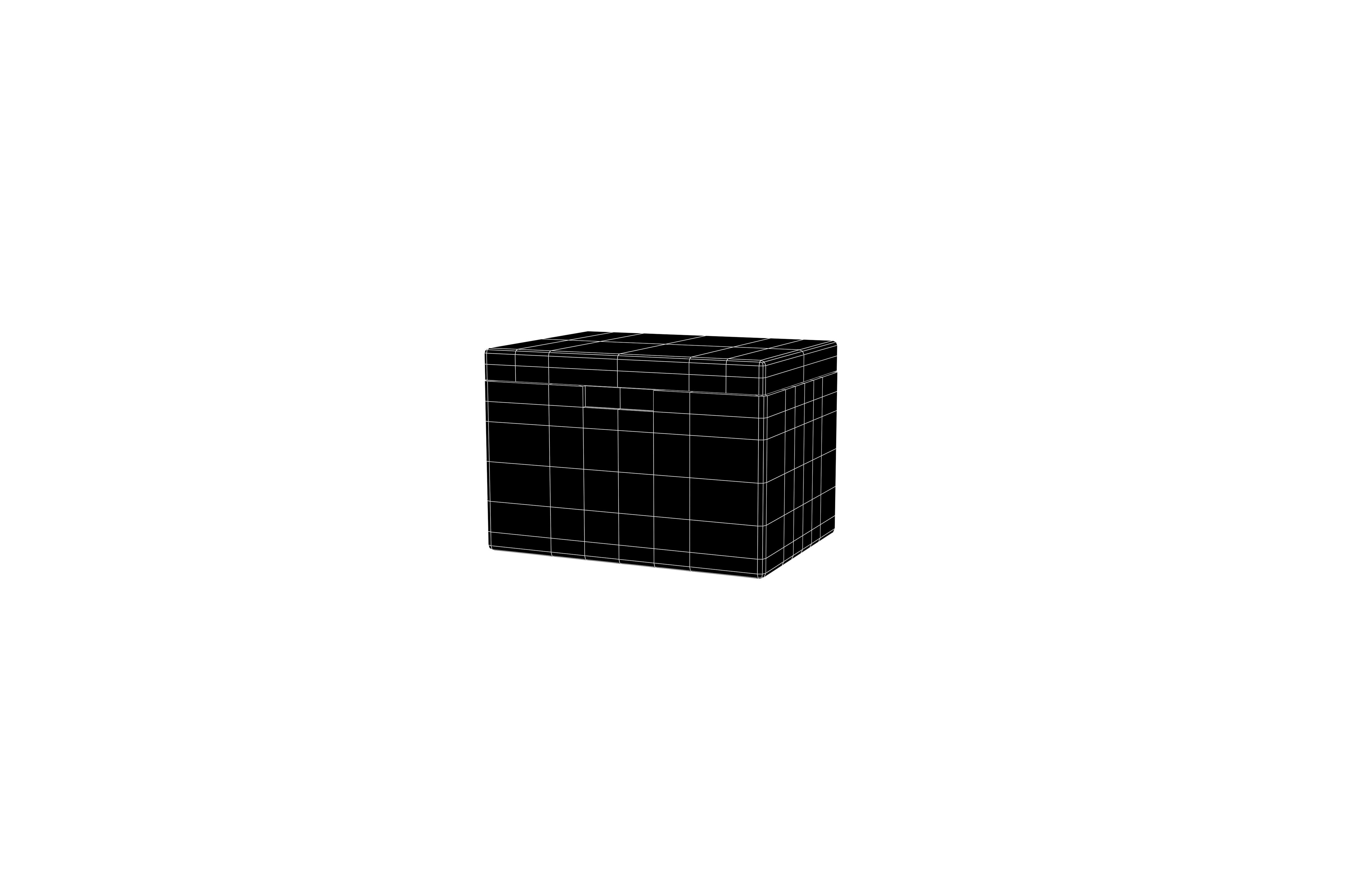 Cooler Box v1 003 Low-poly 3D model_6