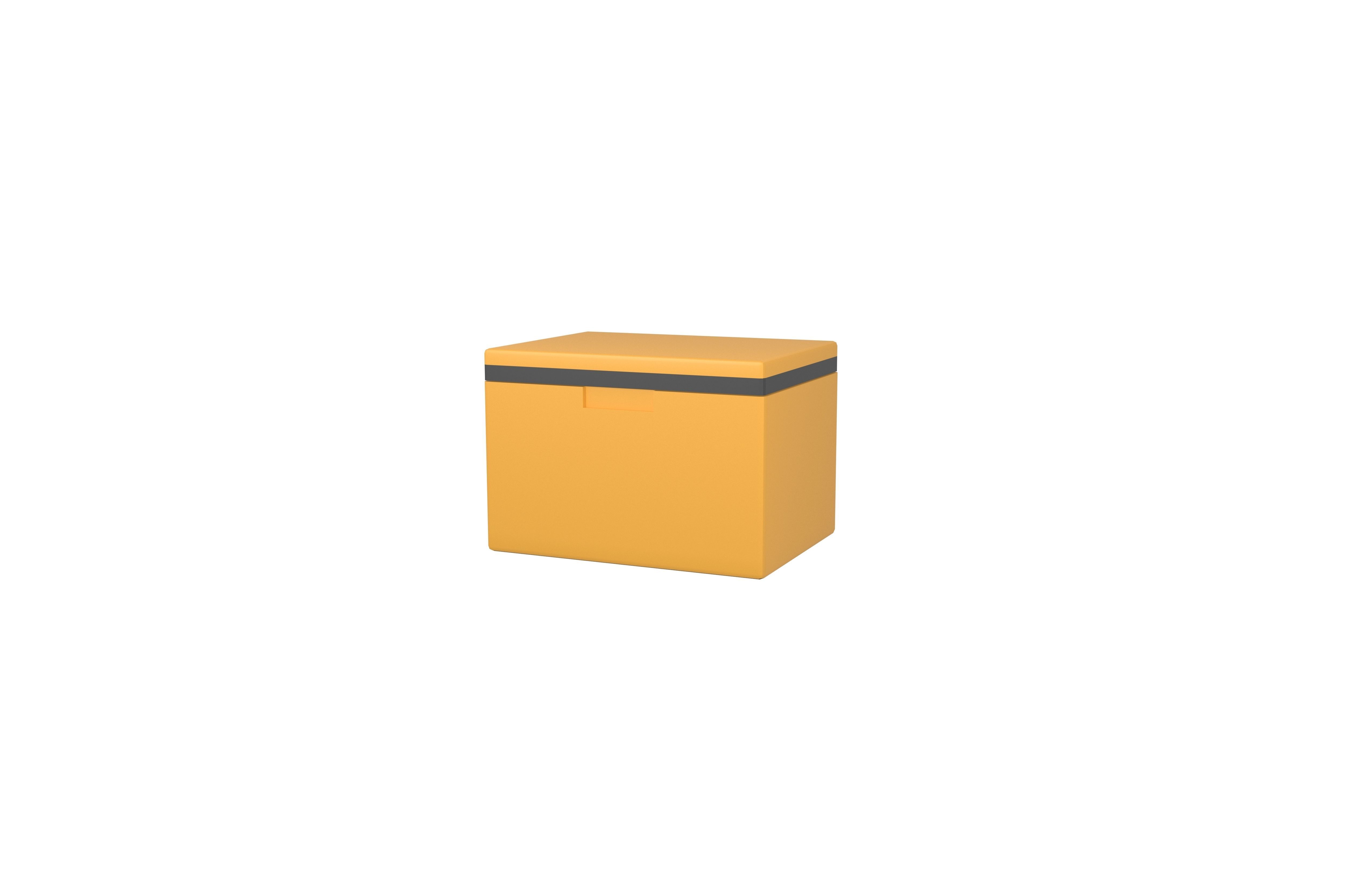 Cooler Box v1 003 Low-poly 3D model_2