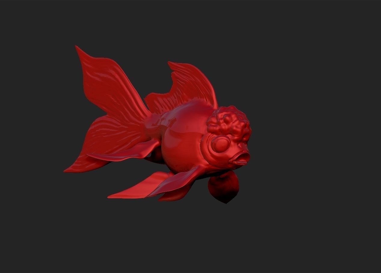 Oranda goldfish simple model 3D print model_5
