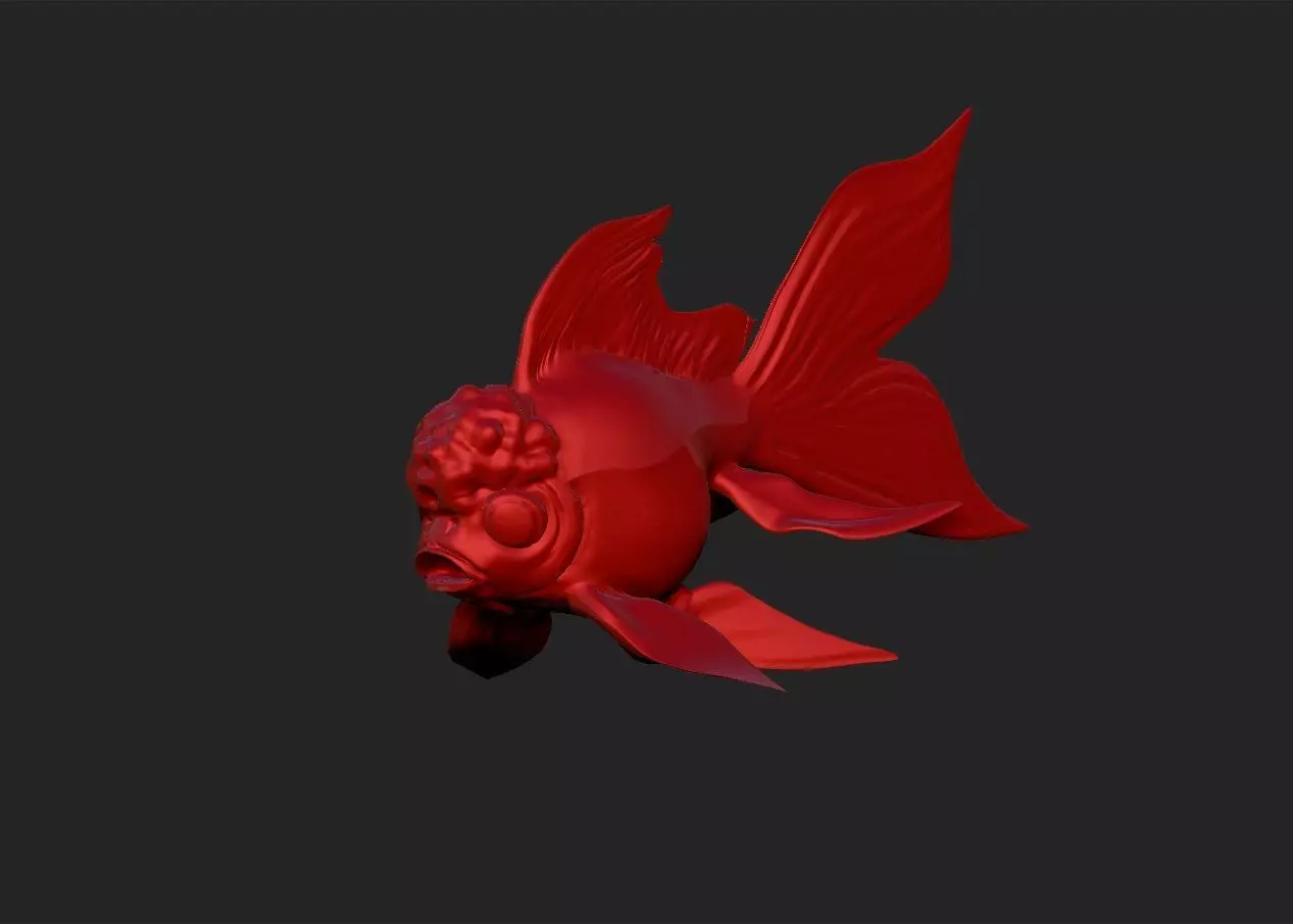 Oranda goldfish simple model 3D print model_0