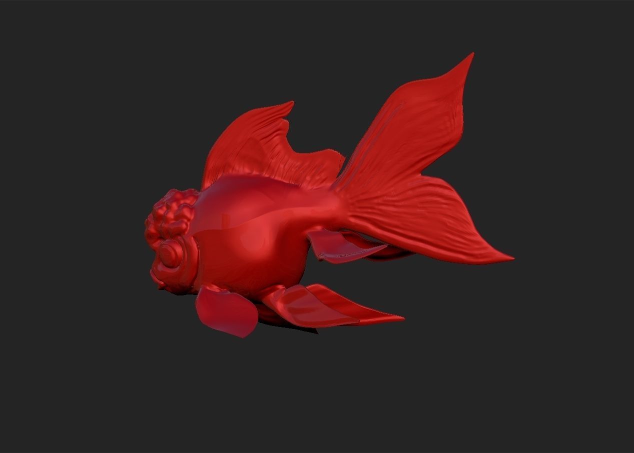 Oranda goldfish simple model 3D print model_2