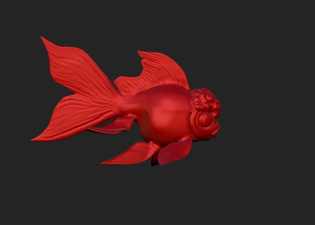 Oranda goldfish simple model 3D print model_4