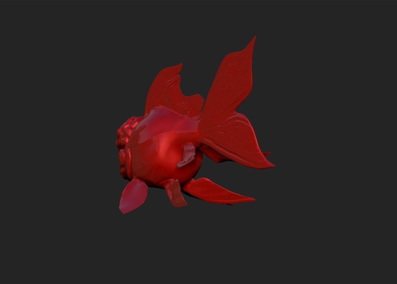 Oranda goldfish simple model 3D print model_3