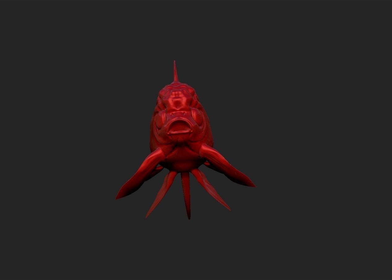 Oranda goldfish simple model 3D print model_7